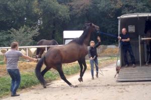 10599513_1513955968821262_7583631592575497221_n