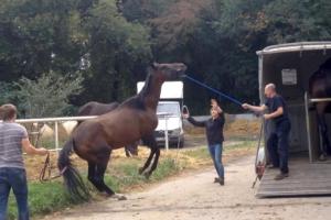 10629823_1513955938821265_3176902355927644280_n