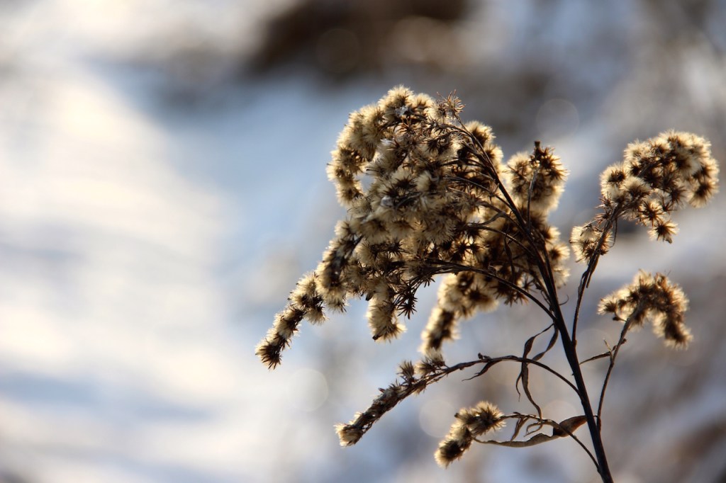 Summer is long gone...