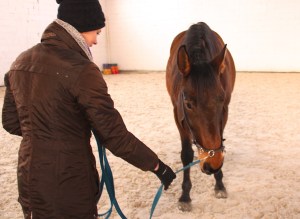 With his head low, his field of vision is a lot smaller.