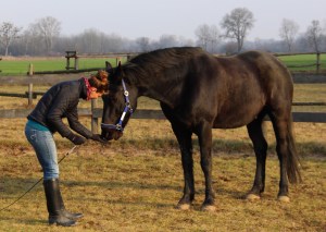 I'm asking him to stretch forward-down.