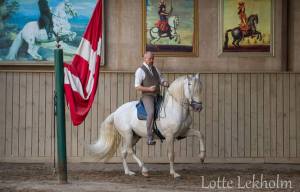 1461474_833839706662310_5952949520095882715_n