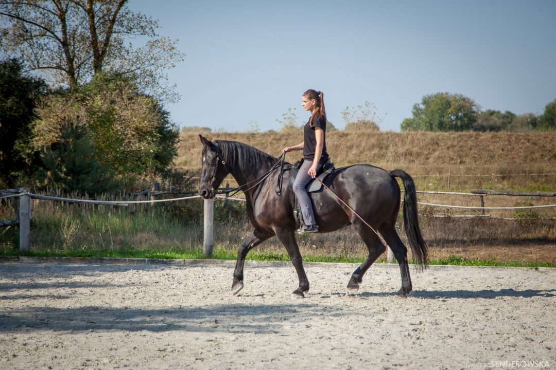 Academic Art of Riding