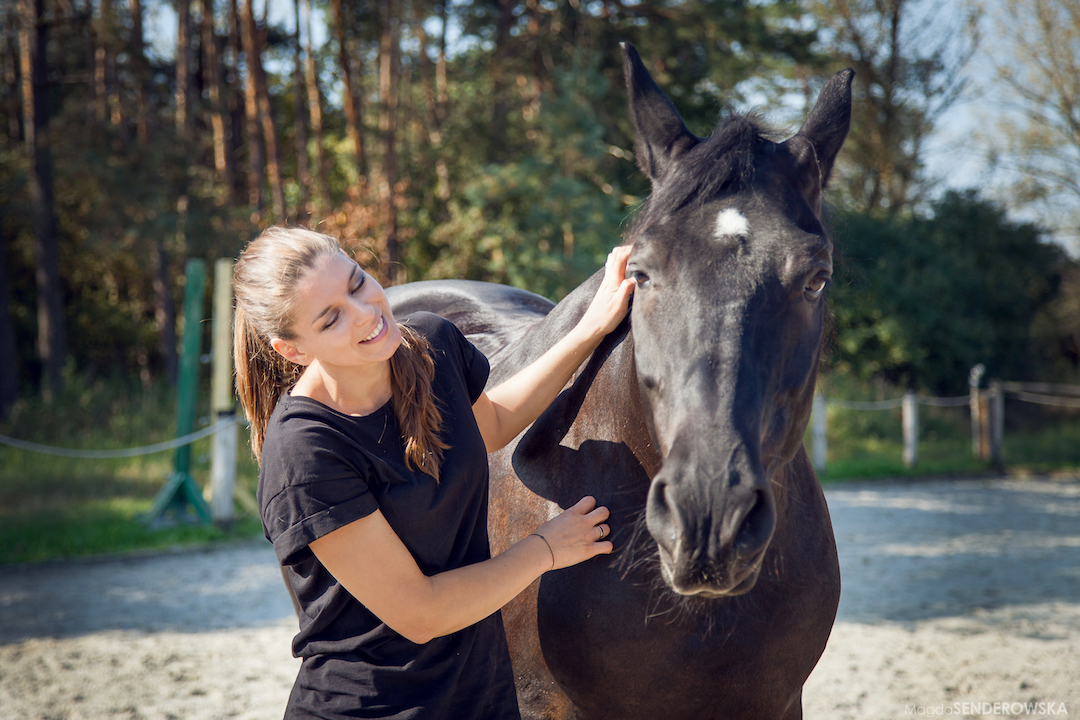 Respect in horsemanship
