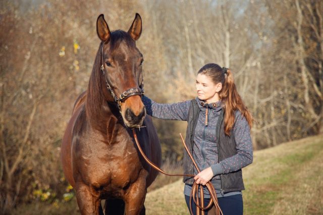 Academic Art of Riding